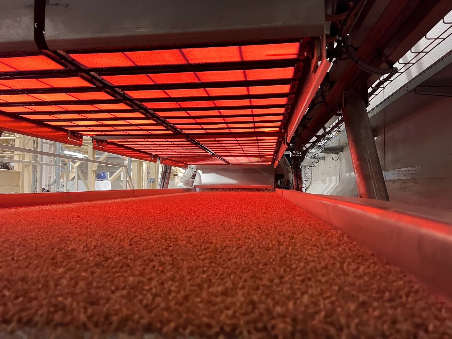 Process-IR infrared micronizer heating grain during production